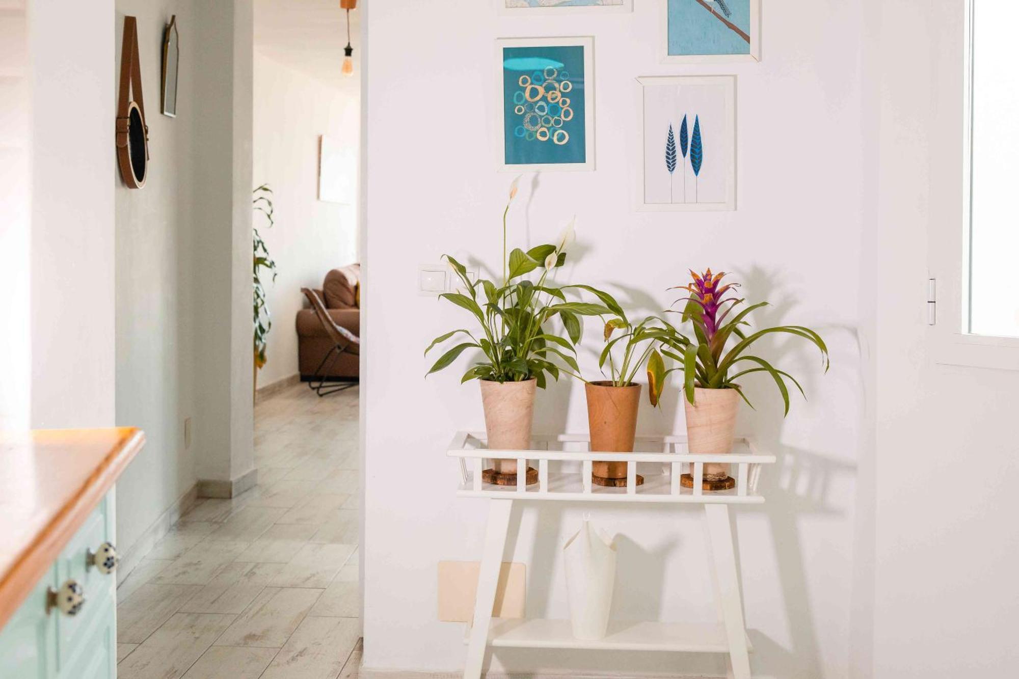 Appartamento Atico Deluxe En El Centro By Lets Málaga Esterno foto