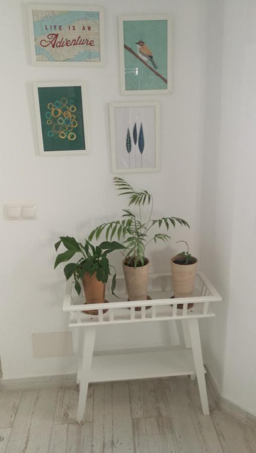 Appartamento Atico Deluxe En El Centro By Lets Málaga Esterno foto